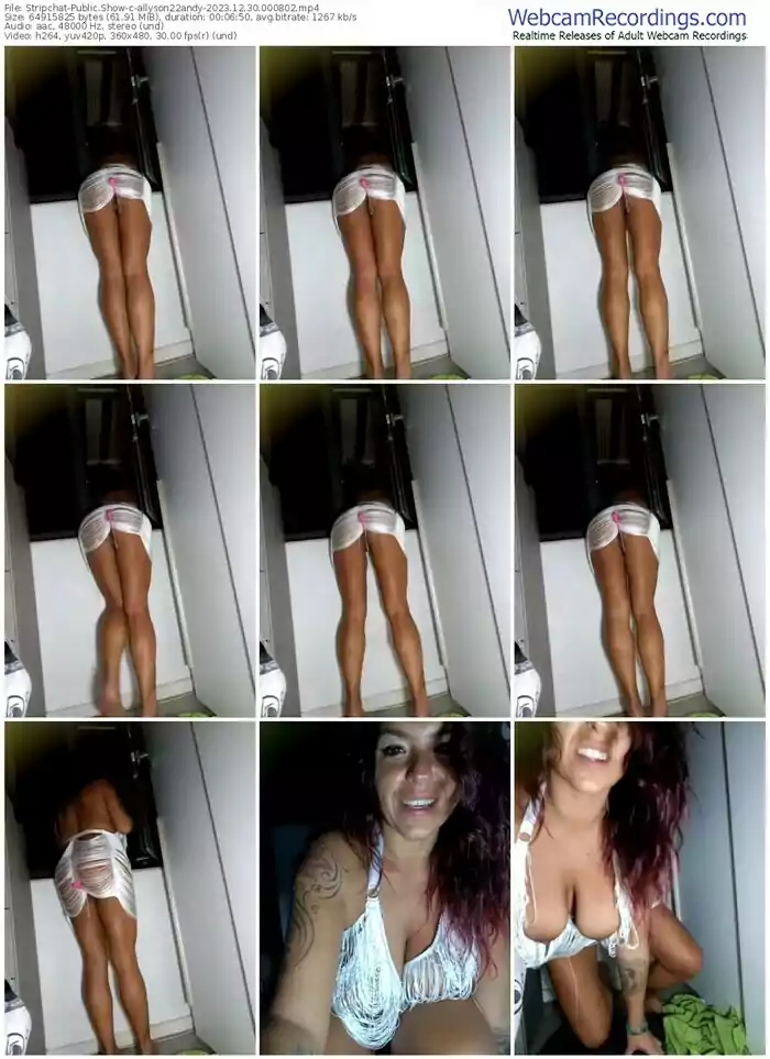 stripchat-allyson22andy-12-30-2023-00-08-02