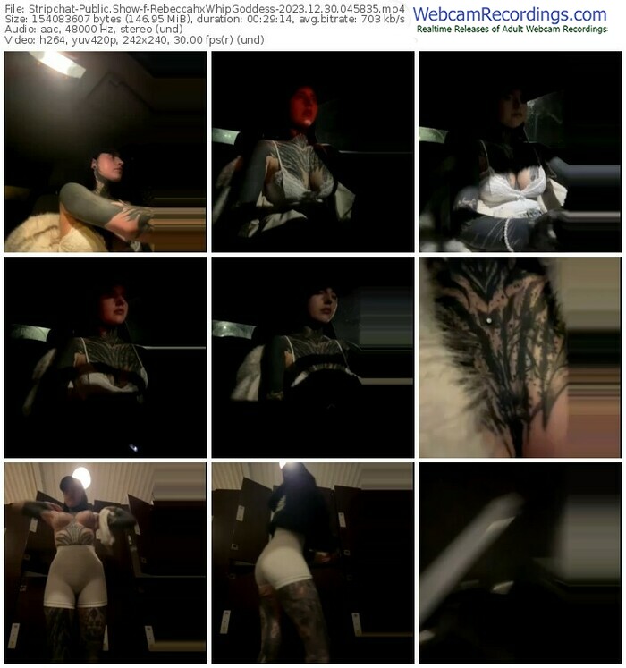 stripchat-rebeccahxwhipgoddess-12-30-2023-04-58-35