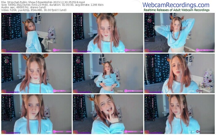 stripchat-rosewellsk-12-30-2023-05-35-18