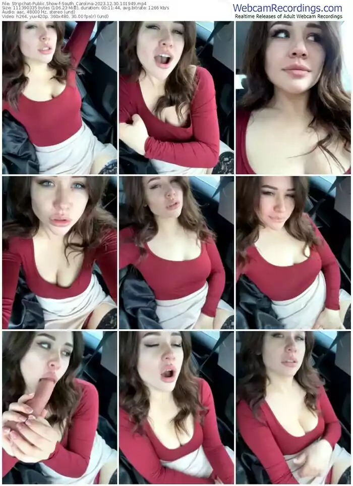 stripchat-south_carolina-12-30-2023-10-19-49