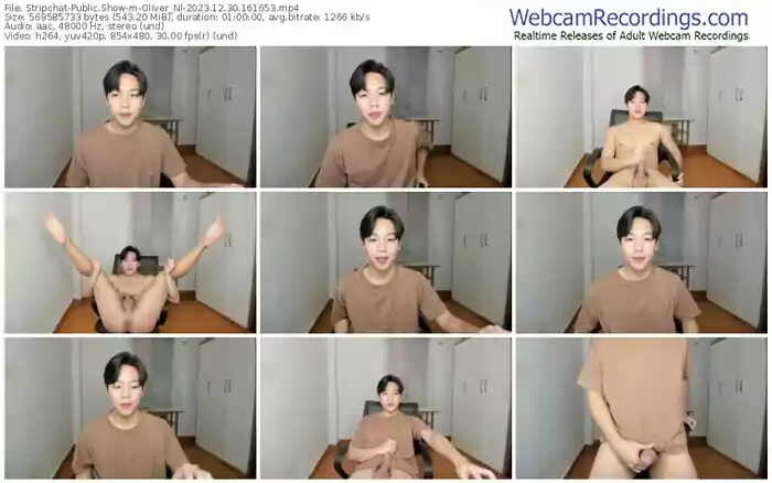 stripchat-oliver_nl-12-30-2023-16-16-53