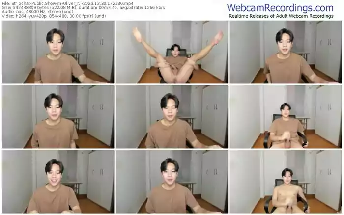 stripchat-oliver_nl-12-30-2023-17-21-30