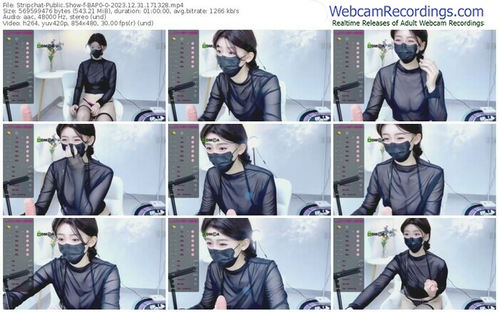 stripchat-bap0-0-12-31-2023-17-13-28