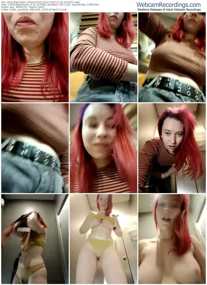 stripchat-frost_foxy-12-31-2023-02-32-51