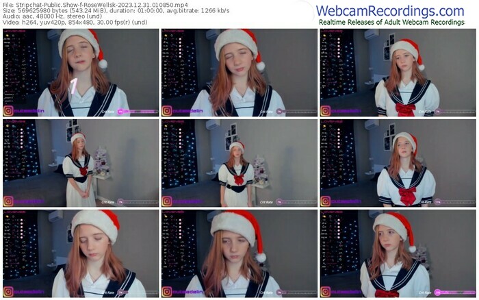 stripchat-rosewellsk-12-31-2023-01-08-50