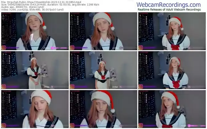 stripchat-rosewellsk-12-31-2023-01-08-50