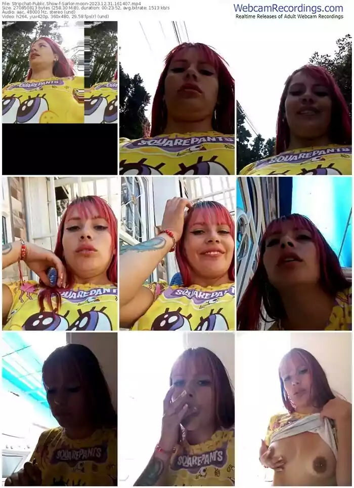 stripchat-sarlor-moon-12-31-2023-16-14-07