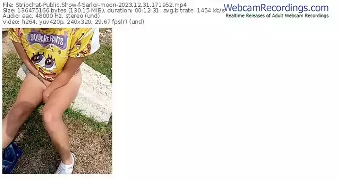 stripchat-sarlor-moon-12-31-2023-17-19-52