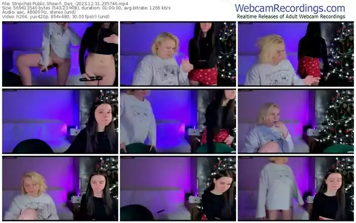 stripchat-_des_-12-31-2023-23-57-46