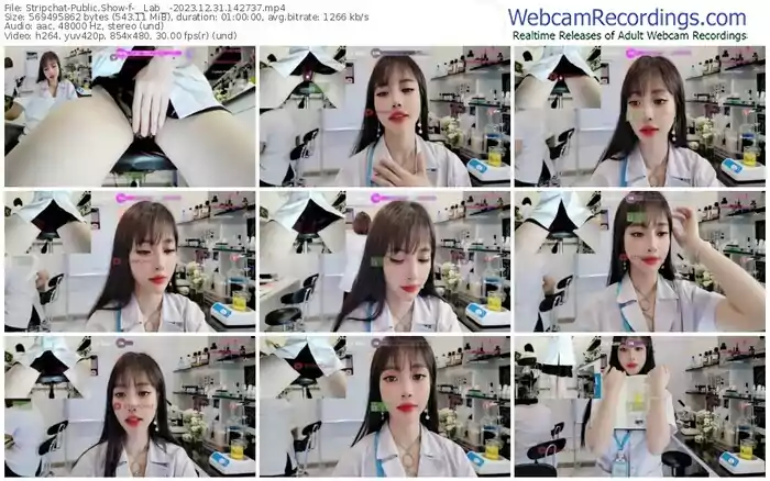 stripchat-__lab__-12-31-2023-14-27-37