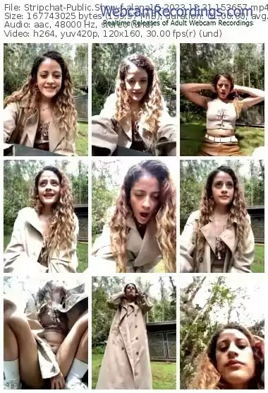 stripchat-alana15-12-31-2023-15-36-57