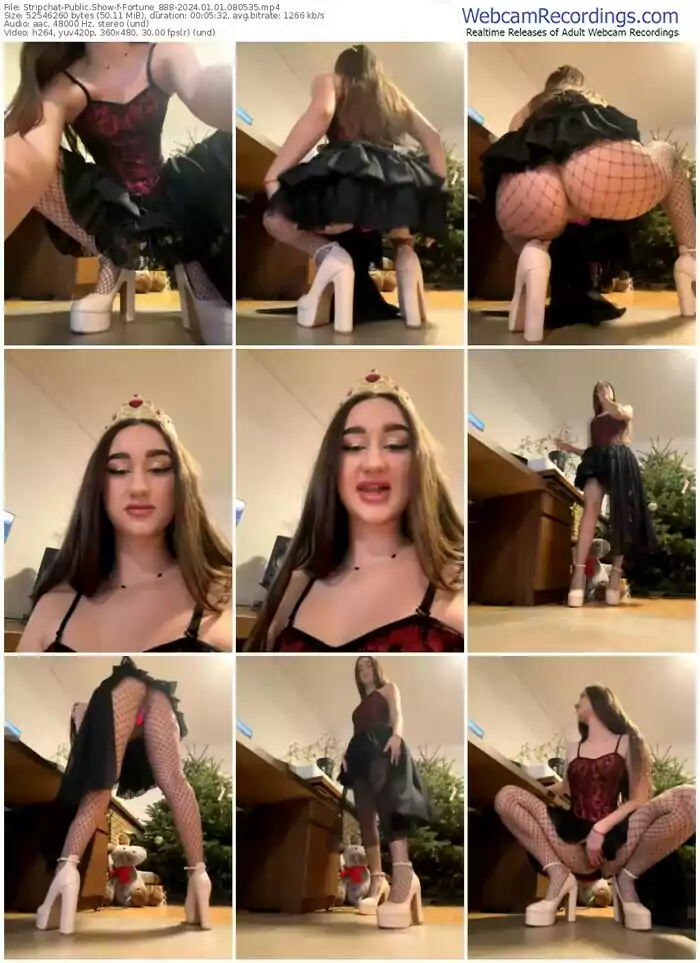 stripchat-fortune_888-01-01-2024-08-05-35