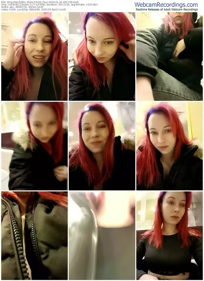 stripchat-frost_foxy-01-01-2024-06-17-29