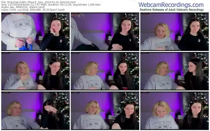 stripchat-_des_-01-01-2024-02-41-44