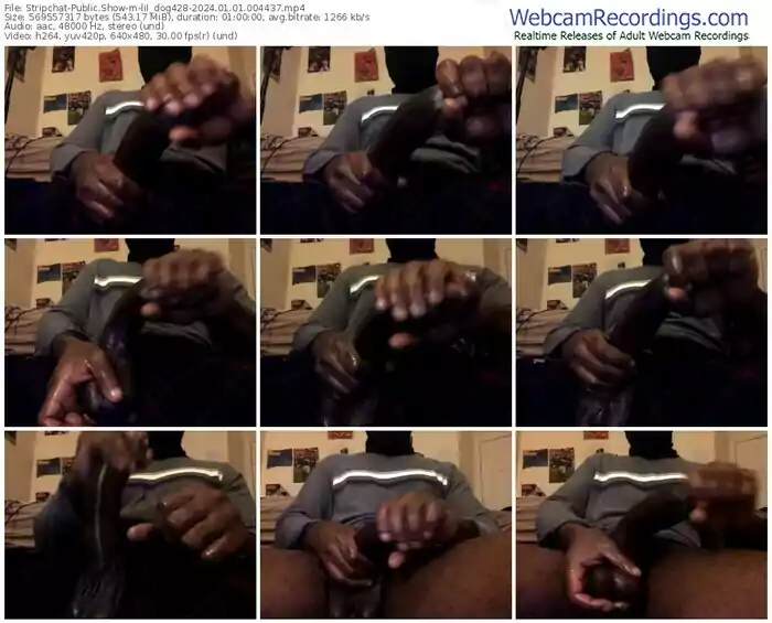 stripchat-lil_dog428-01-01-2024-00-44-37