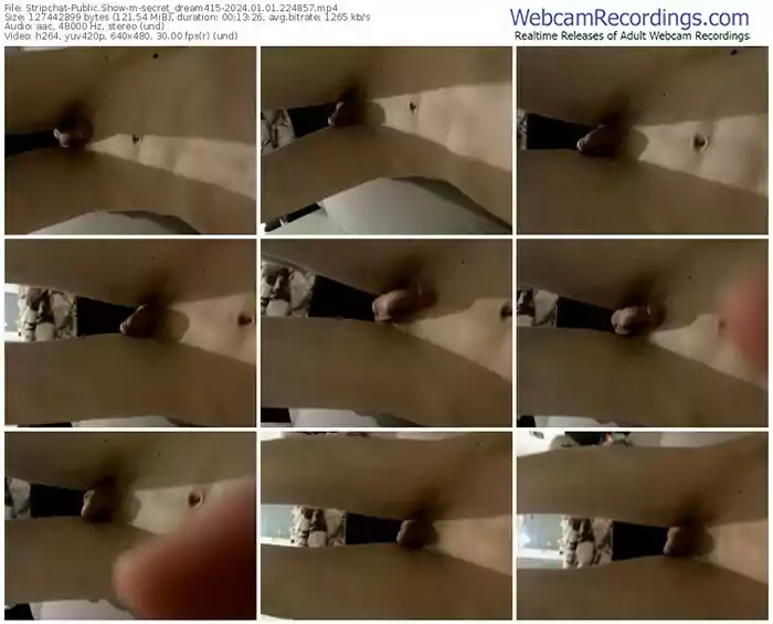 stripchat-secret_dream415-01-01-2024-22-48-57