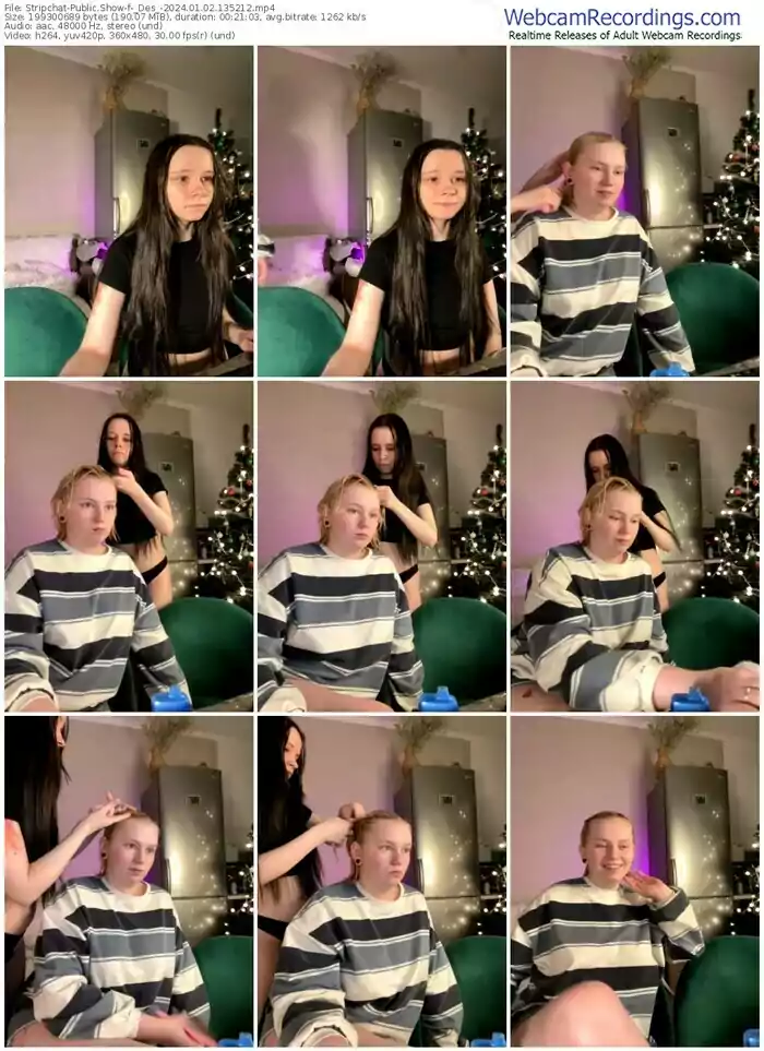 stripchat-_des_-01-02-2024-13-52-12