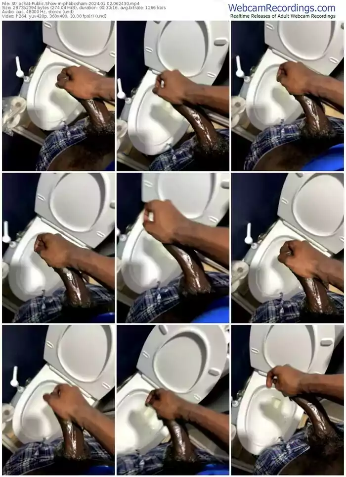 stripchat-phbbcsham-01-02-2024-06-24-30