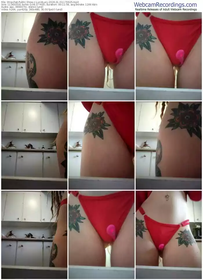 stripchat-lucidlucy-01-03-2024-17-09-25