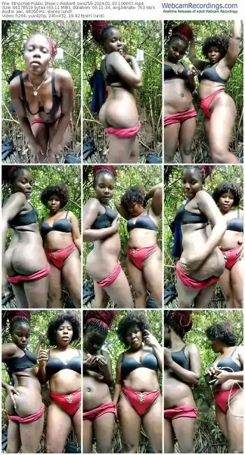 stripchat-rediant_two256-01-03-2024-10-00-07