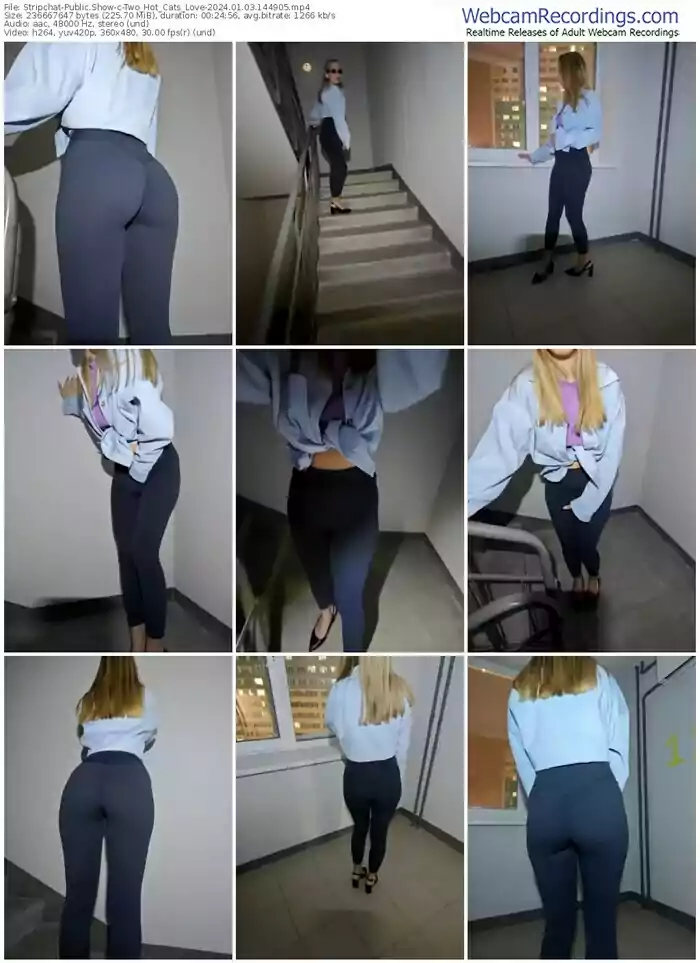 stripchat-two_hot_cats_love-01-03-2024-14-49-05