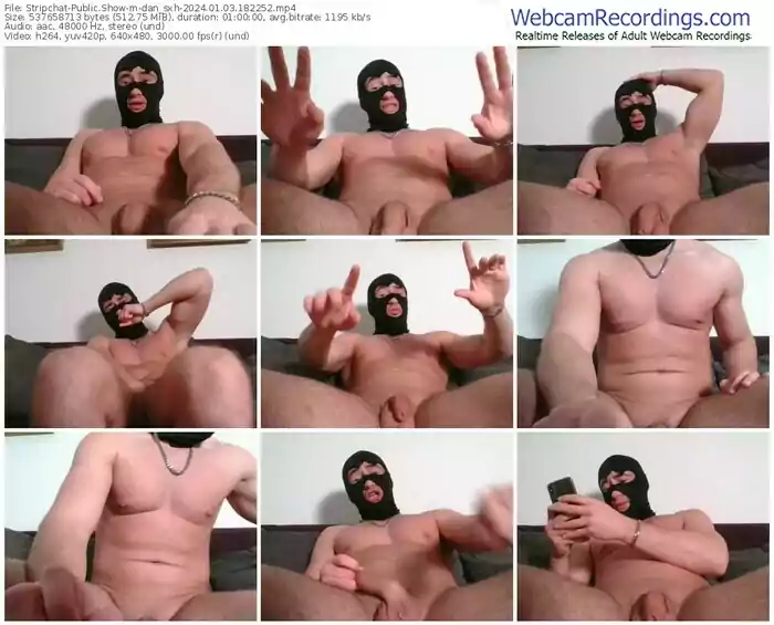 stripchat-dan_sxh-01-03-2024-18-22-52