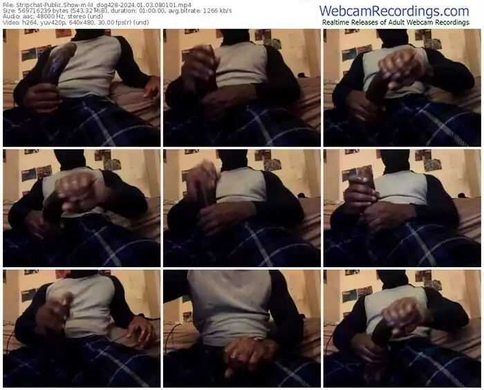 stripchat-lil_dog428-01-03-2024-08-01-01