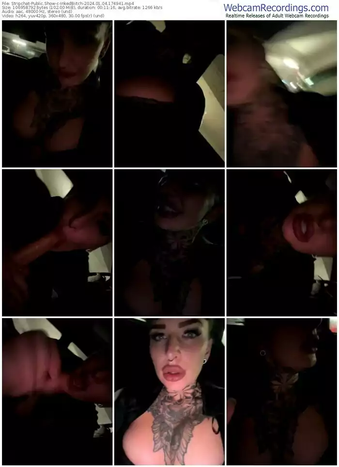 stripchat-inkedbiitch-01-04-2024-17-49-41