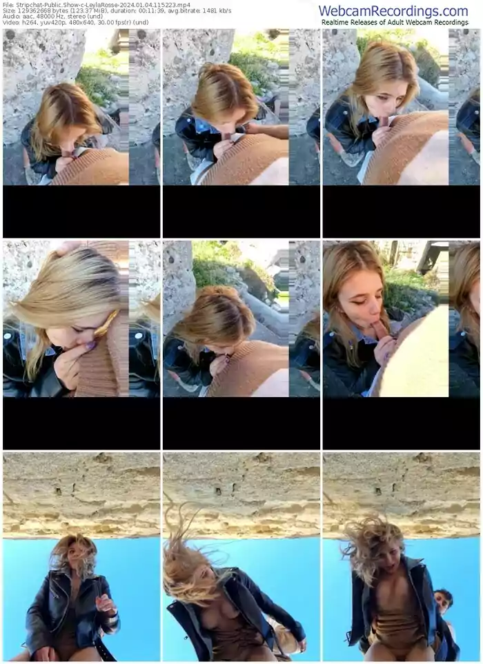 stripchat-leylarosse-01-04-2024-11-52-23