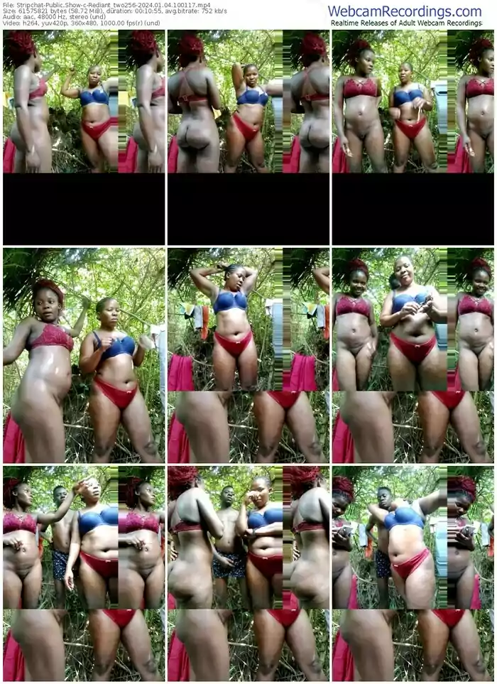 stripchat-rediant_two256-01-04-2024-10-01-17