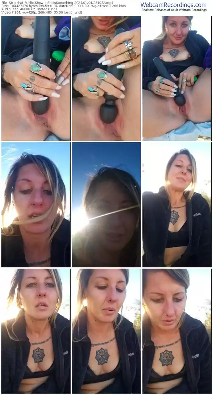 stripchat-sheissomething-01-04-2024-23-40-32