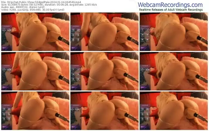 stripchat-edgedpale-01-04-2024-06-45-49