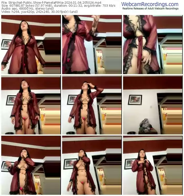 stripchat-pamelaftmia-01-04-2024-20-50-24