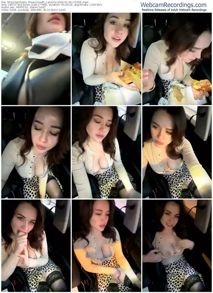 stripchat-south_carolina-01-04-2024-13-18-31