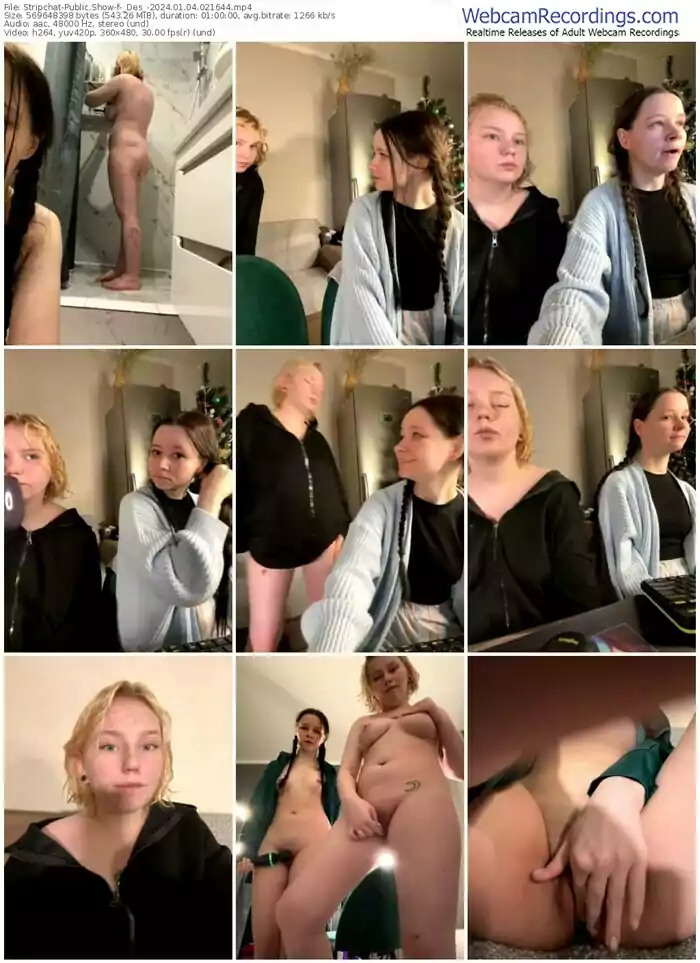 stripchat-_des_-01-04-2024-02-16-44