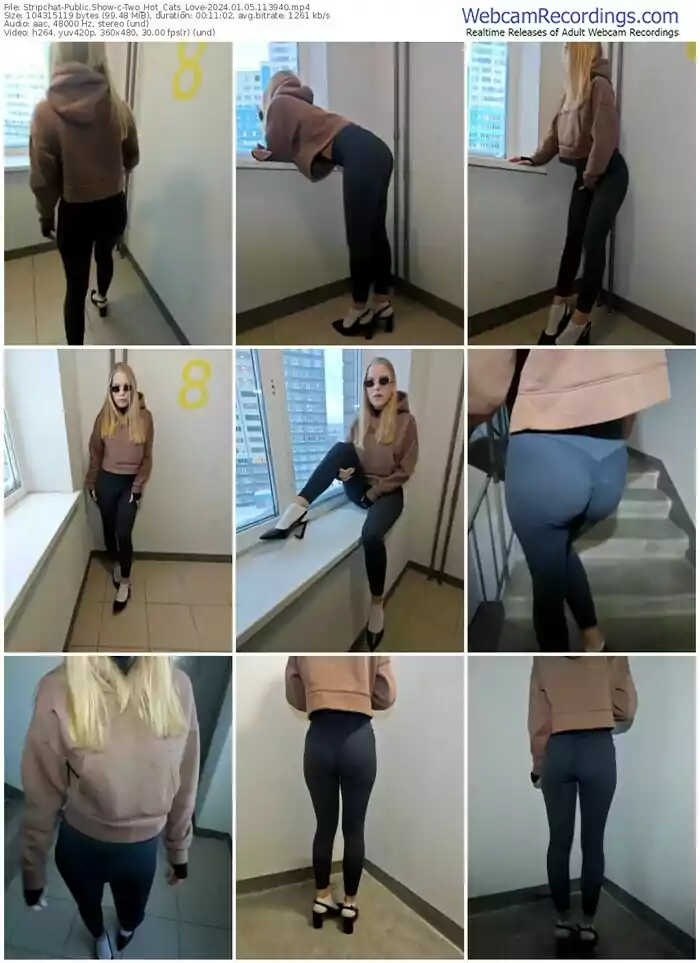 stripchat-two_hot_cats_love-01-05-2024-11-39-40