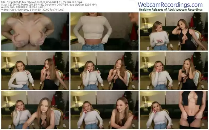 stripchat-anabel_054-01-05-2024-16-46-22