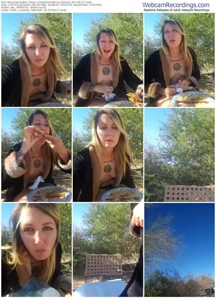 stripchat-sheissomething-01-06-2024-19-51-27