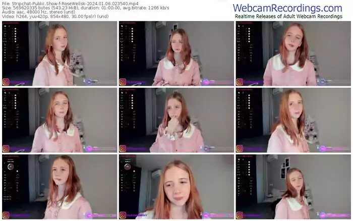 stripchat-rosewellsk-01-06-2024-02-35-40