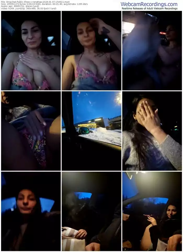 stripchat-renattaa-01-07-2024-15-46-11