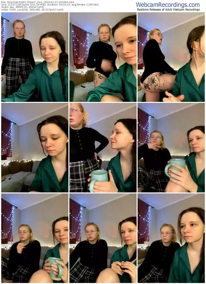 stripchat-_des_-01-07-2024-14-20-44