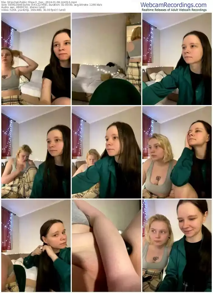 stripchat-_des_-01-08-2024-16-40-16