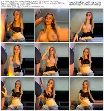 stripchat-horny_n_wet-01-09-2024-09-24-03