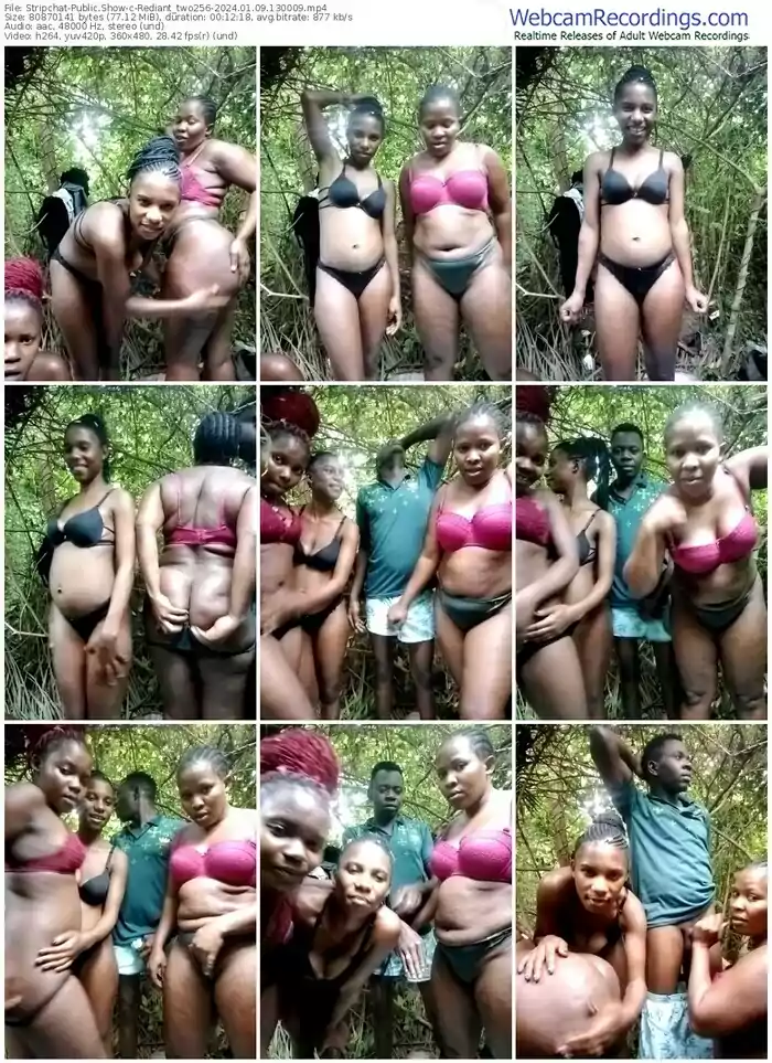 stripchat-rediant_two256-01-09-2024-13-00-09