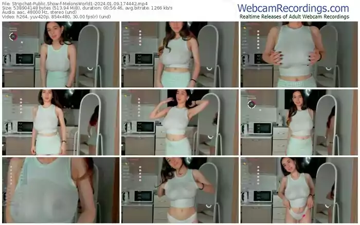 stripchat-melonsworld1-01-09-2024-17-44-42