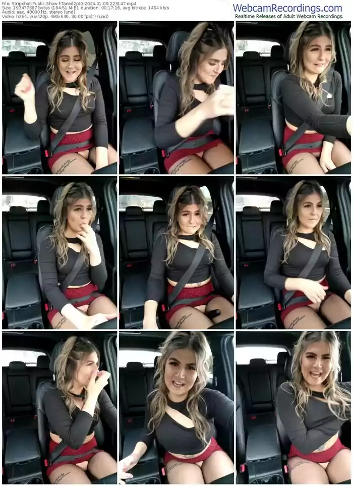 stripchat-taneil2pt0-01-09-2024-22-31-47