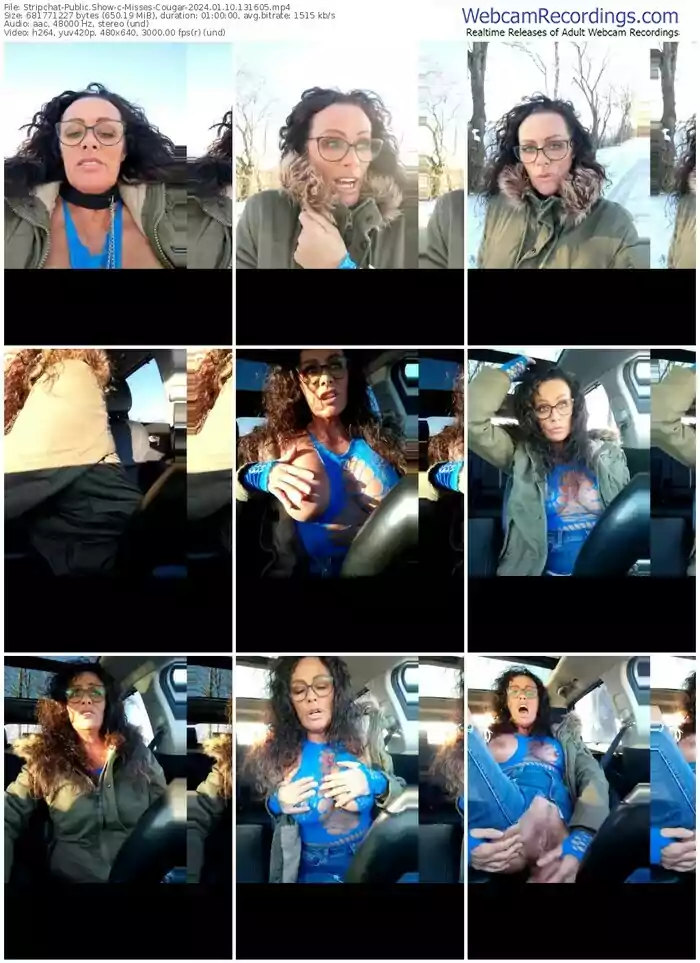 stripchat-misses-cougar-01-10-2024-13-16-05