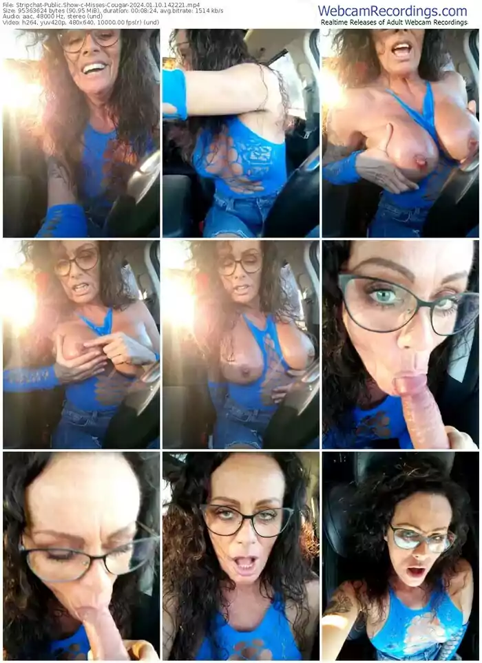 stripchat-misses-cougar-01-10-2024-14-22-21