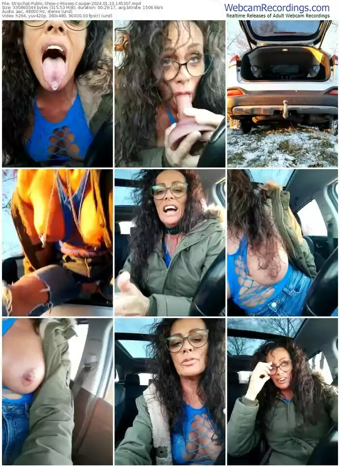 stripchat-misses-cougar-01-10-2024-14-53-07