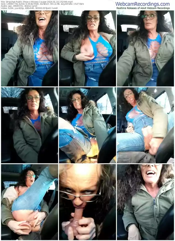stripchat-misses-cougar-01-10-2024-15-24-49